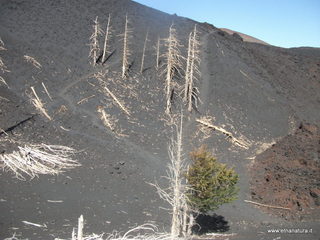 ateri eruzione 2002-23-09-2012 11-16-05